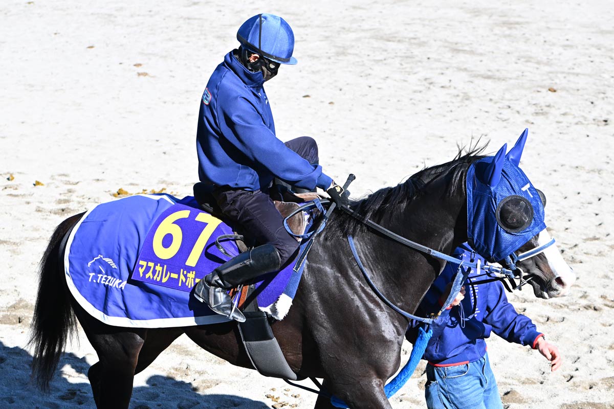 ジャパンC・耳より】「まだ全幅の信頼は置けません」マスカレード